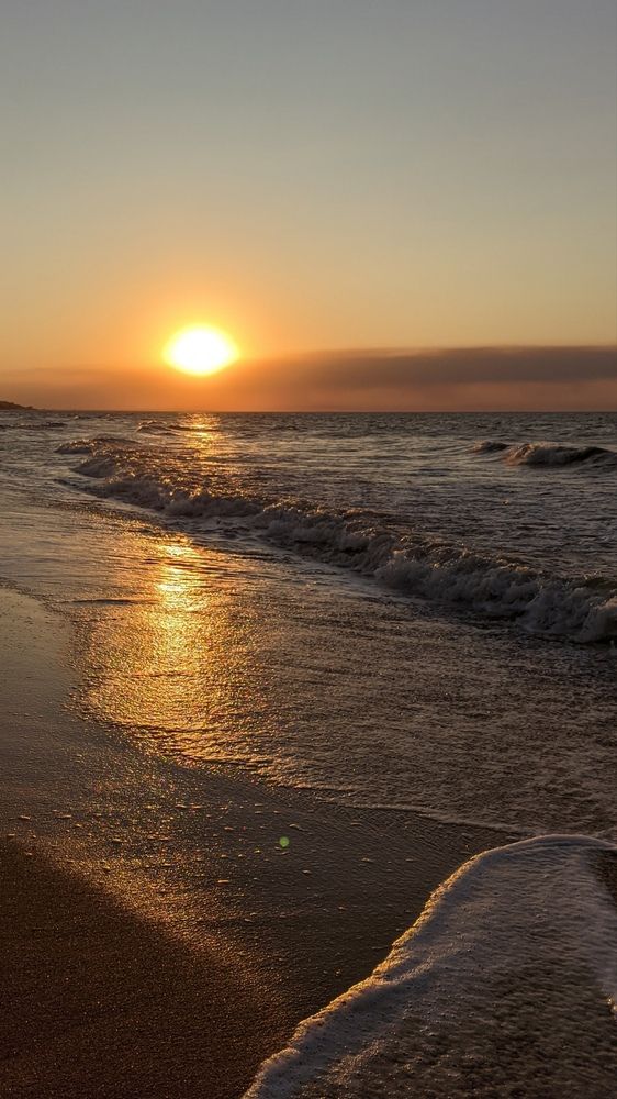 Фотография автора Васильева Ирина