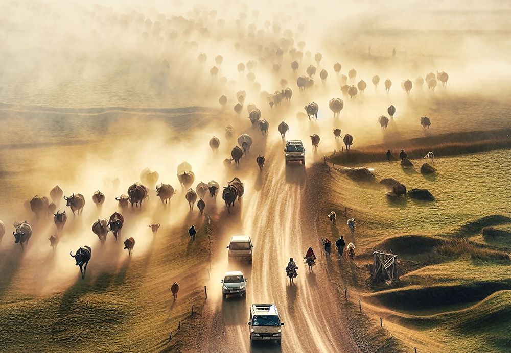 Фотография автора Hau Nguyen Vu