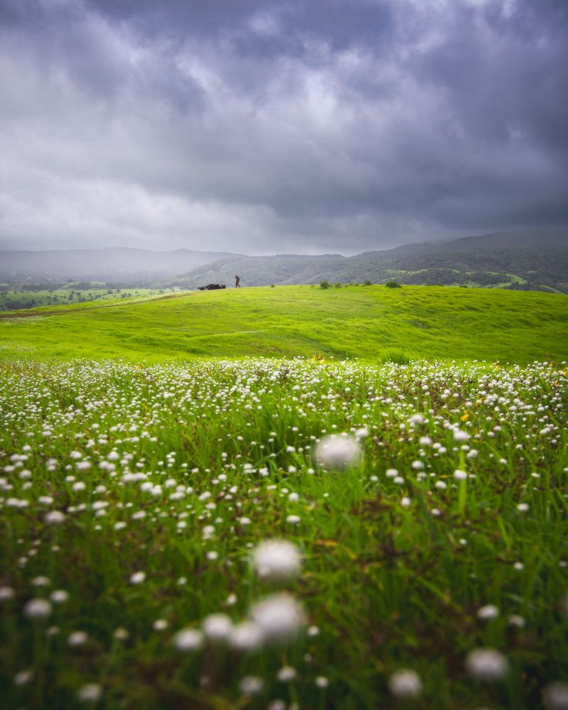 Photograph by Abhijeet Sawant