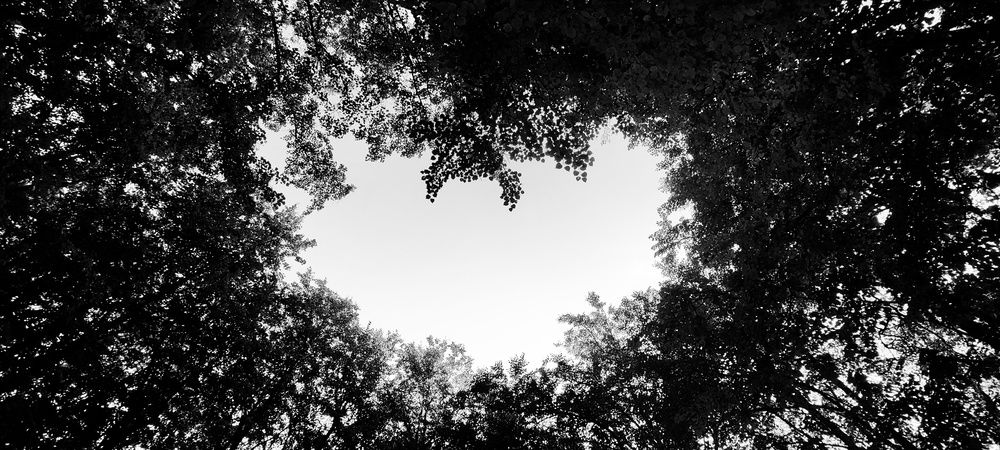 Photograph by Наталья Гайдукевич