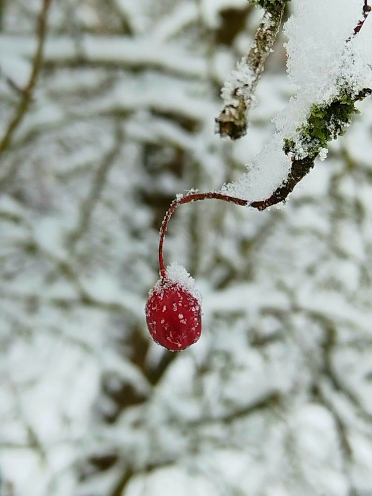 Photograph by Татьяна Солтан