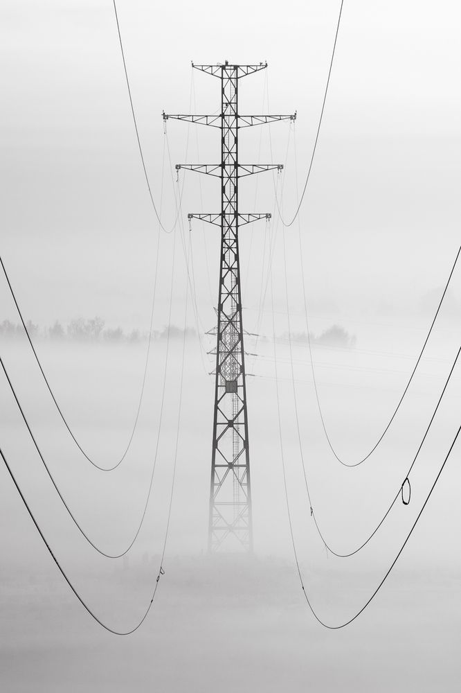 Photograph by Devender Mark