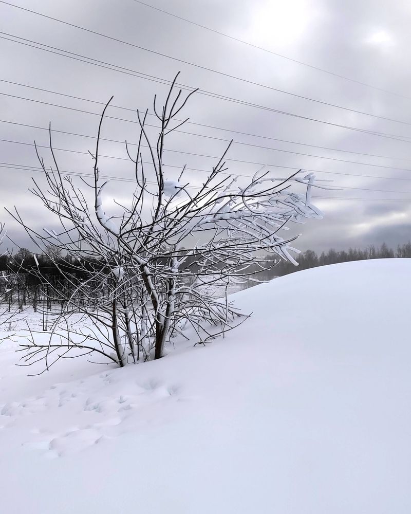 Photograph by Михаил Янкин