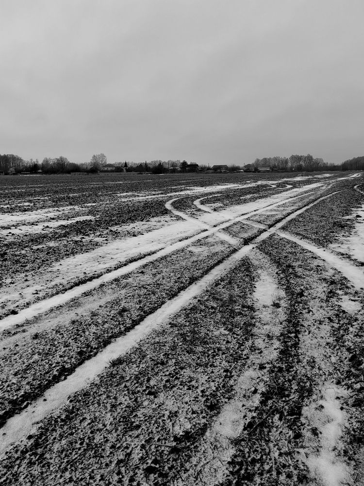 Photograph by Михаил Янкин