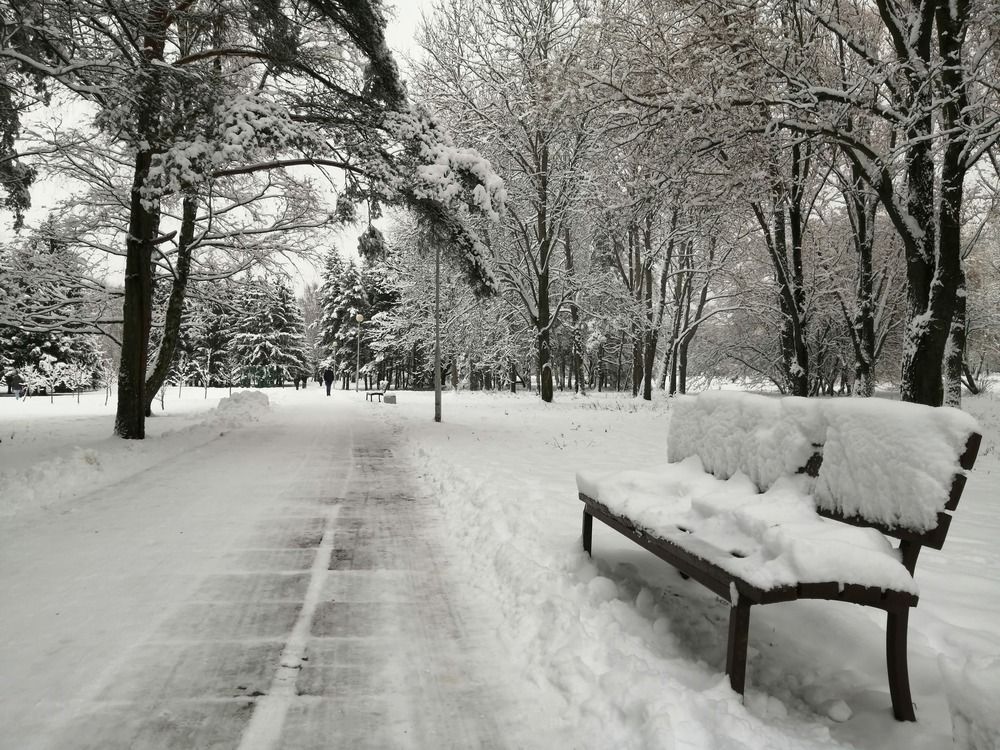 Фотография автора Лариса Ременьчик