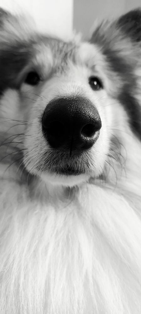 Фотография автора Анастасия Большакова