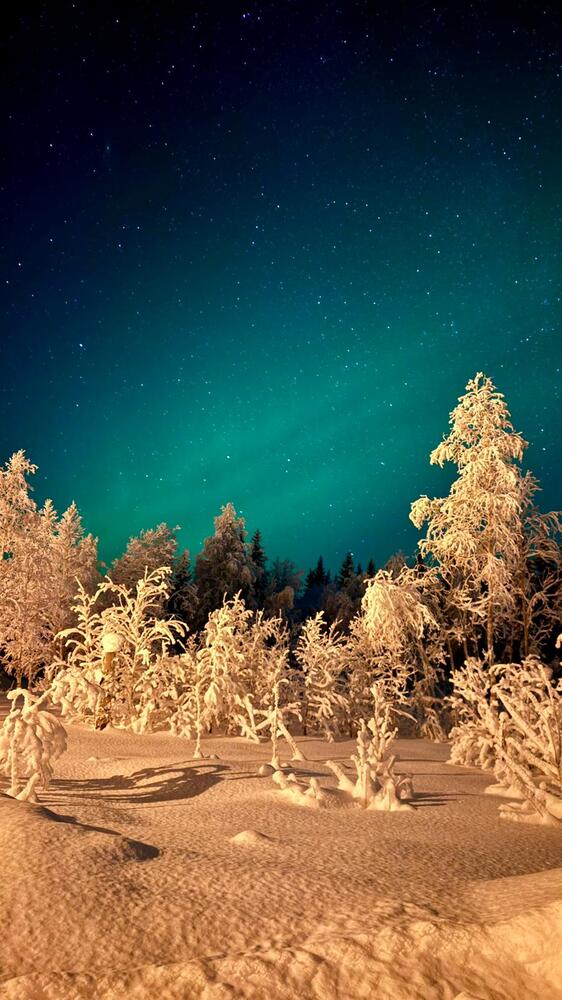 Photograph by Irina Lazarenko