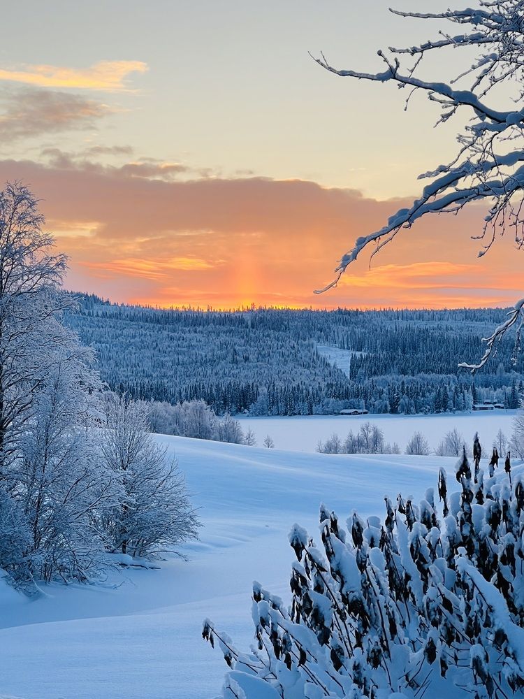 Photograph by Irina Lazarenko