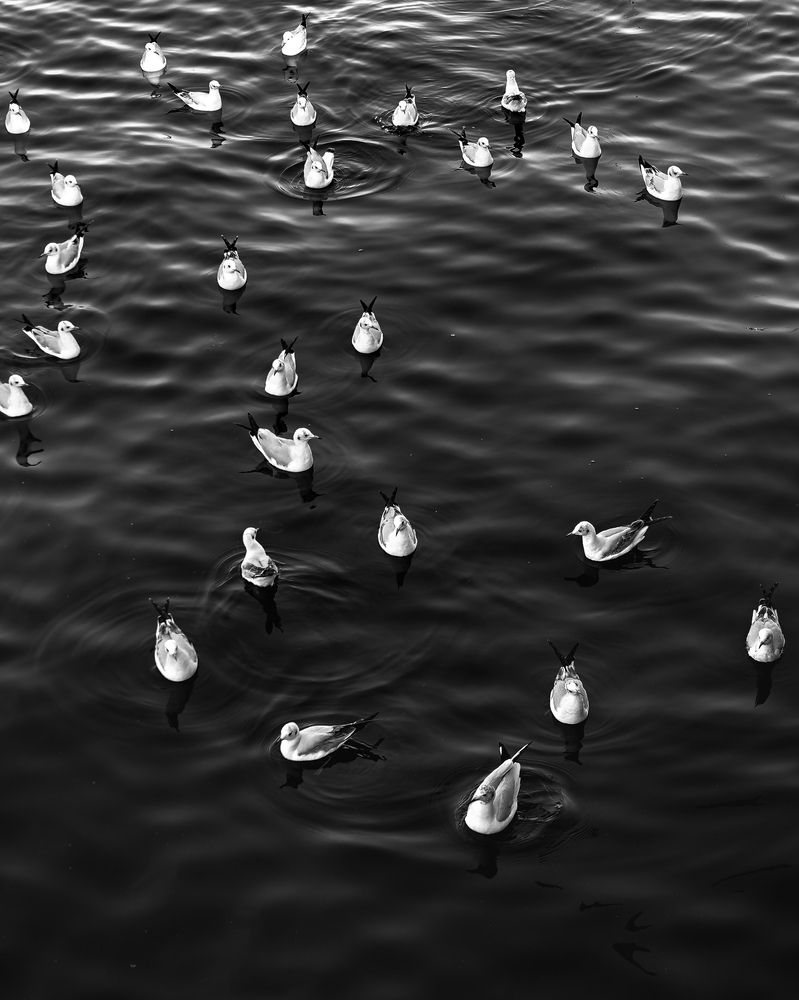 Photograph by Abhijeet Sawant