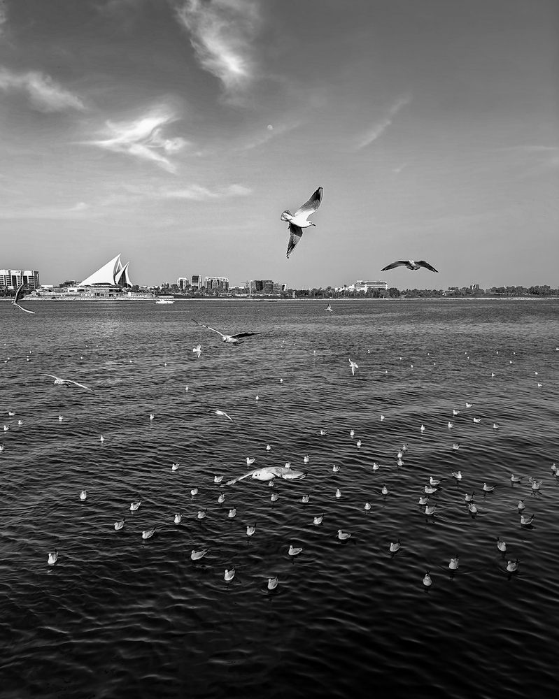 Photograph by Abhijeet Sawant