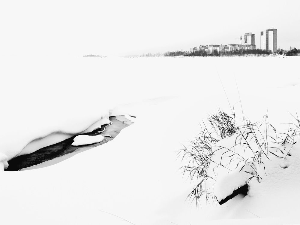 Photograph by Елена Амозова