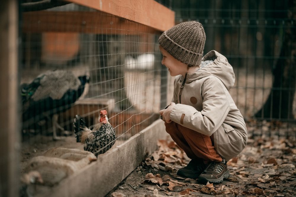 Photograph by Наталья Гришаева