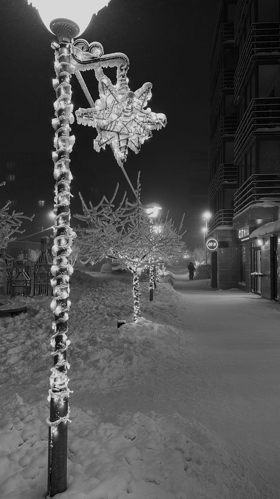Фотография автора Бакуменко Анна