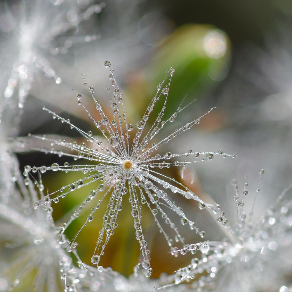 Фотография автора Владимир Пронин