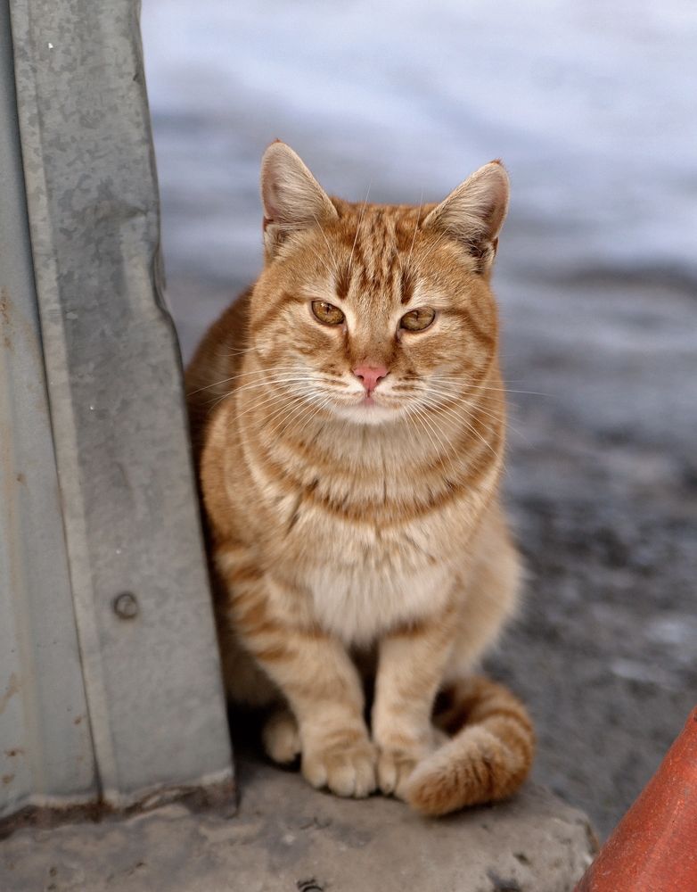 Photograph by АНДРЕЙ Роев