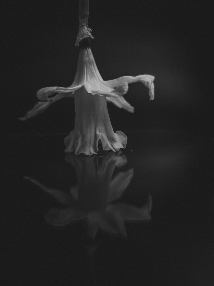 Фотография автора Марина Алексеевская