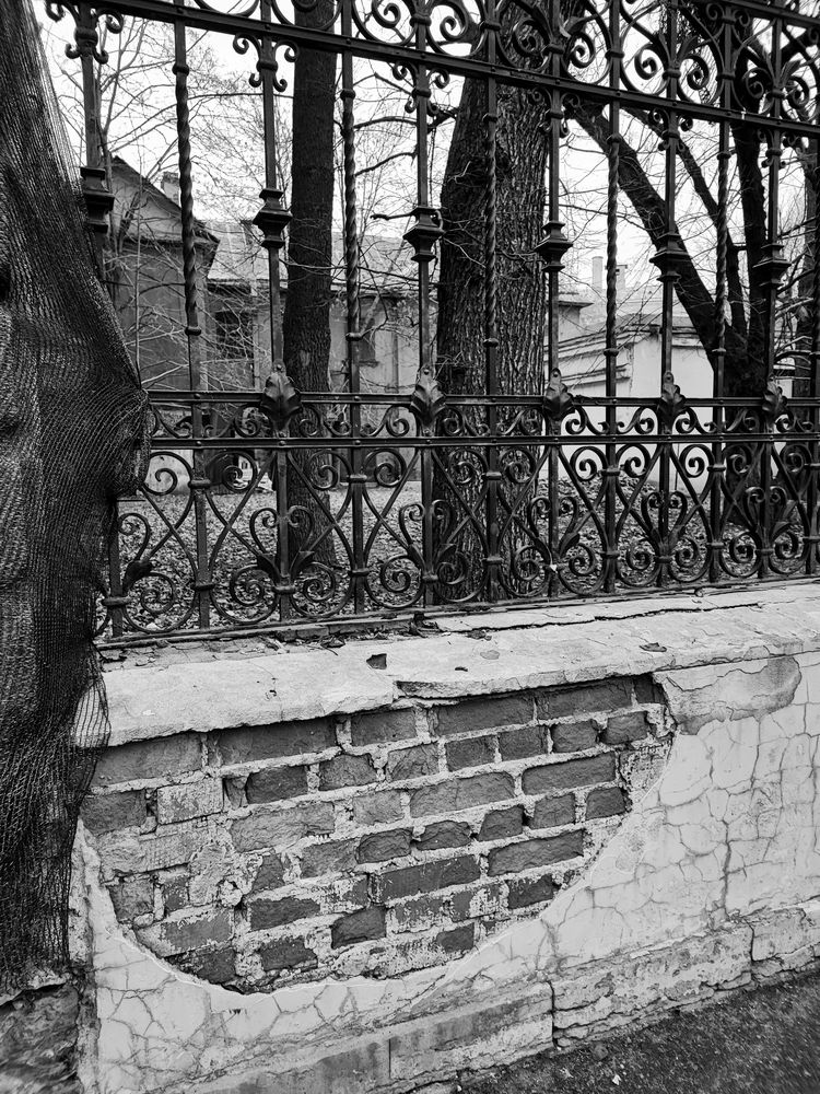 Photograph by Елена Юдина