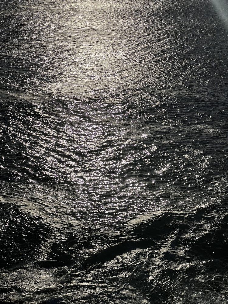 Photograph by Isabela M. Brum