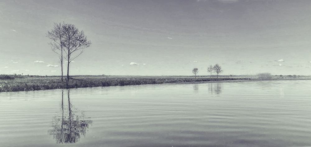 Photograph by Алена Ерошкина