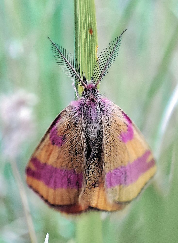 Photograph by Дмитрий Фетисов