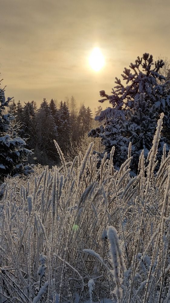 Photograph by Анастасия Камариттинова