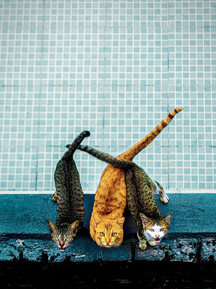 Photograph by Karunakaran Ramalingam