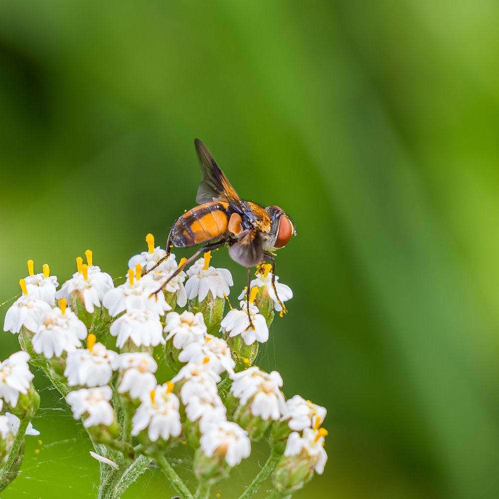 Photograph by Victor Shaposhnikov