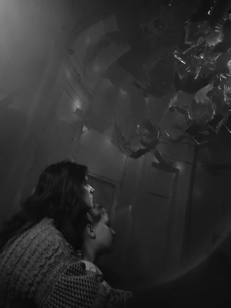 Фотография автора Могилевцева Дарья