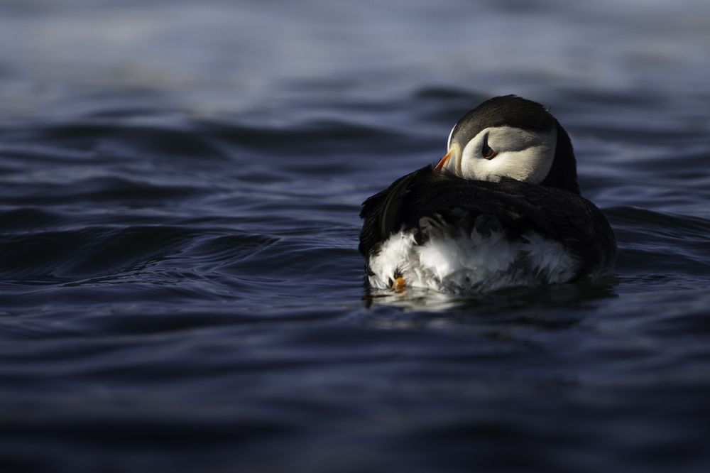 Photograph by Miller Dave