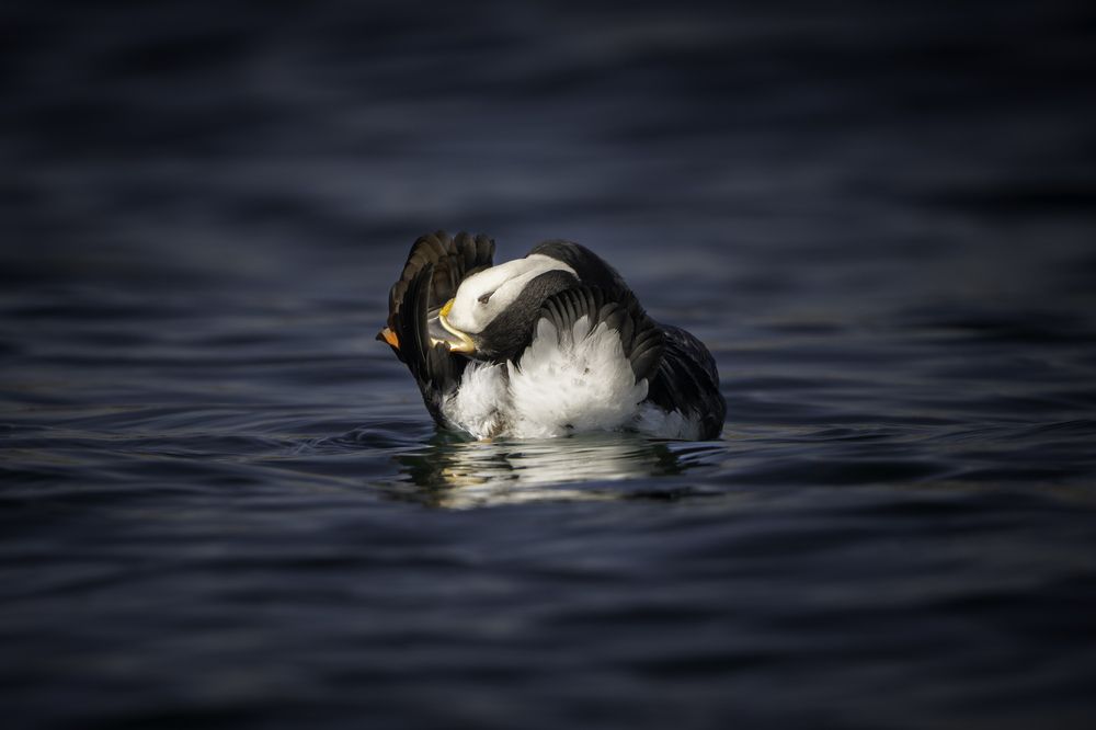 Photograph by Miller Dave