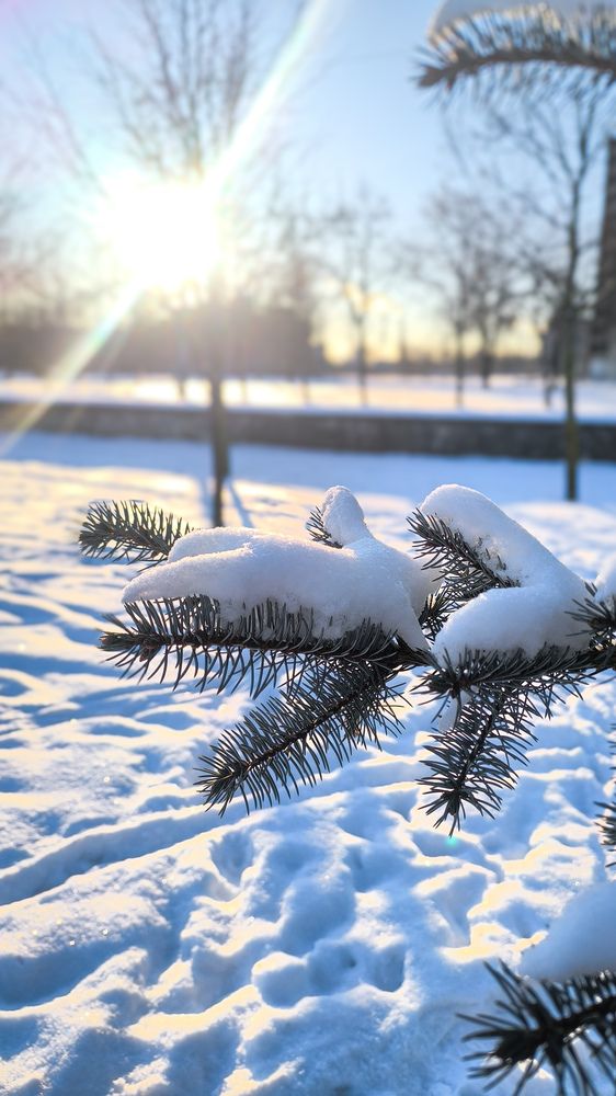 Фотография автора Марина Алексеевская