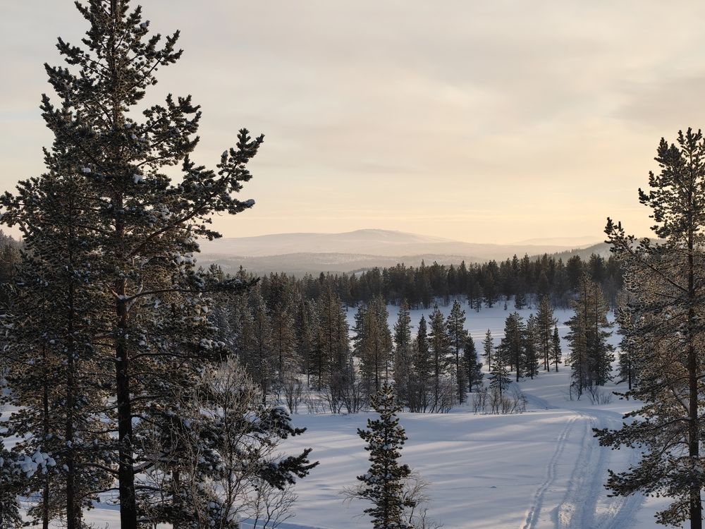 Фотография автора Sparc-jr