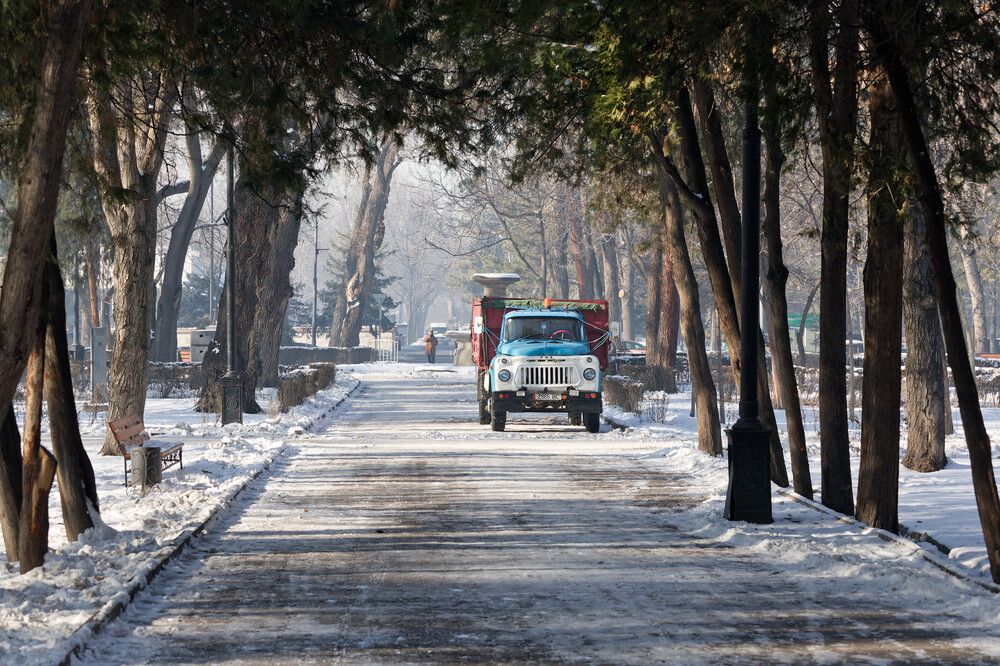 Photograph by Pozdnyakov Andrey