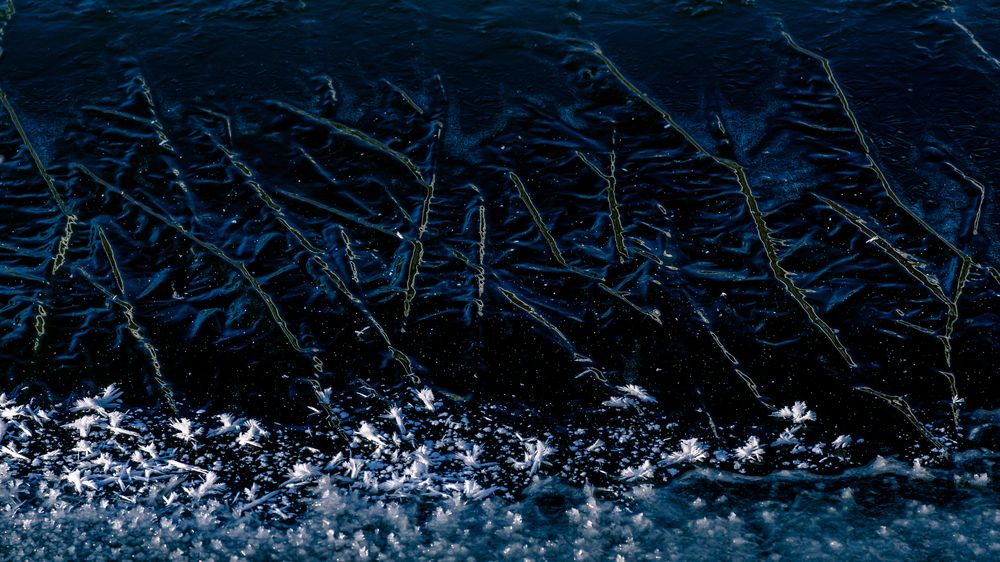 Photograph by Devender Mark