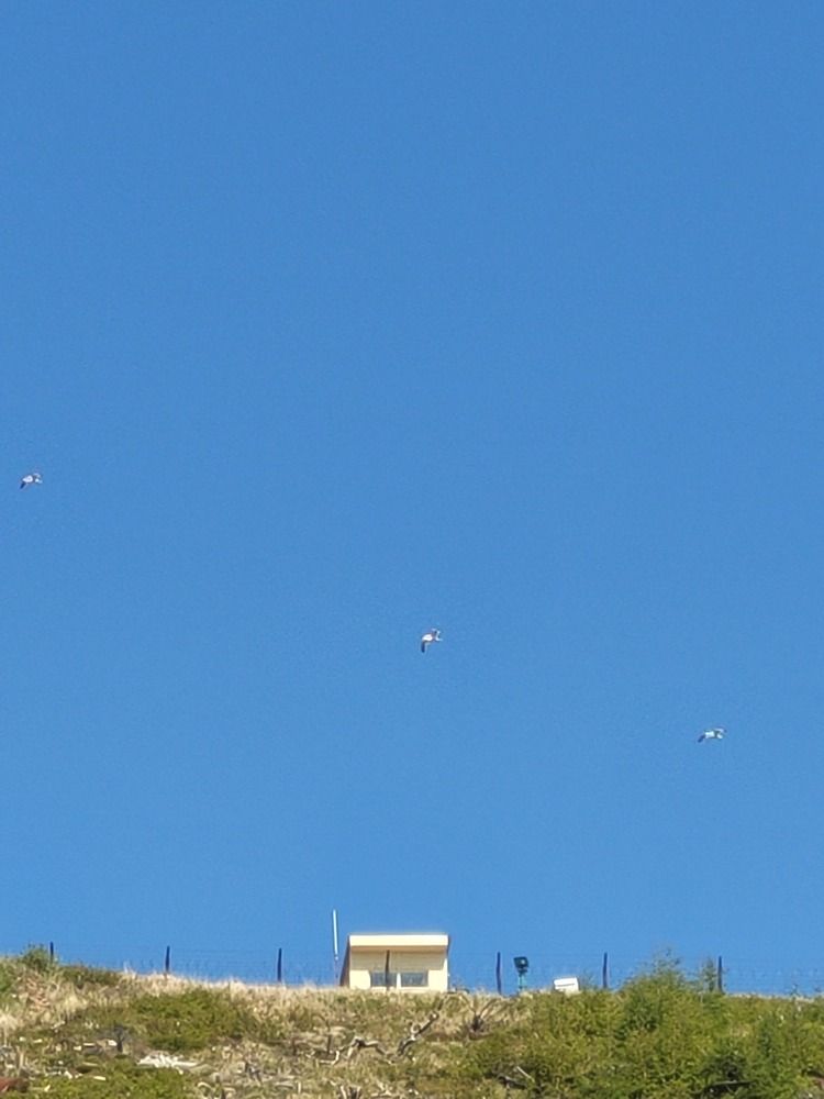 Фотография автора Казакова Людмила Ивановна