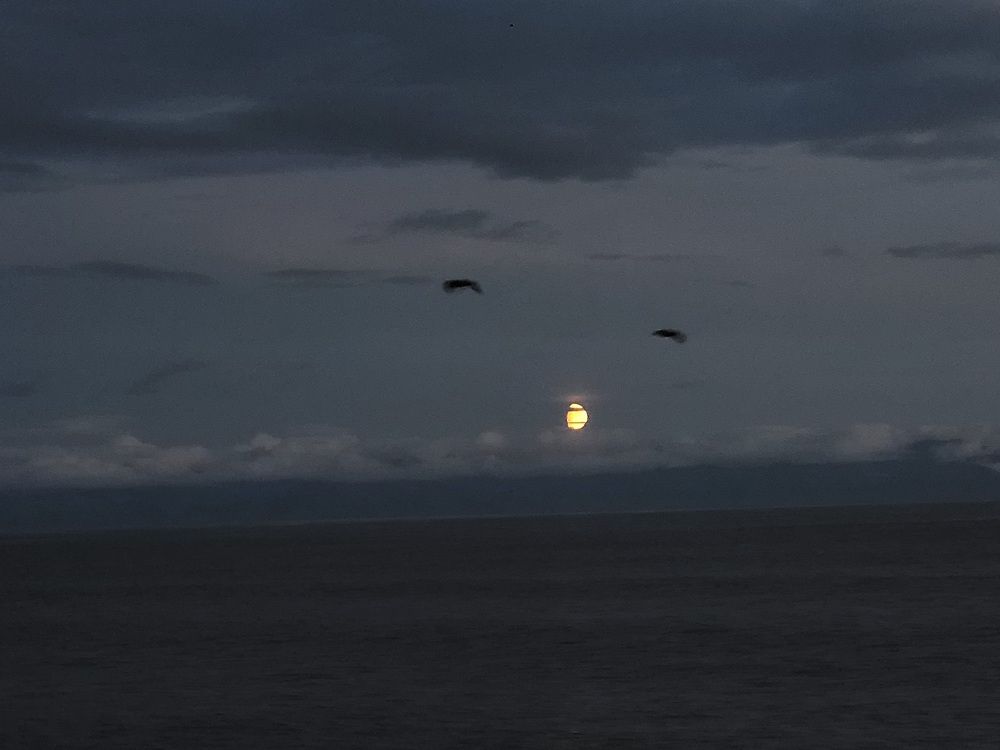 Фотография автора Казакова Людмила Ивановна