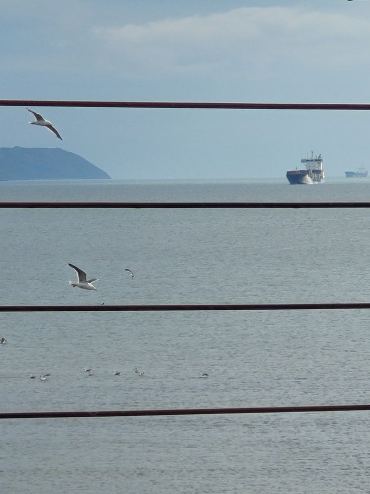 Фотография автора Казакова Людмила Ивановна