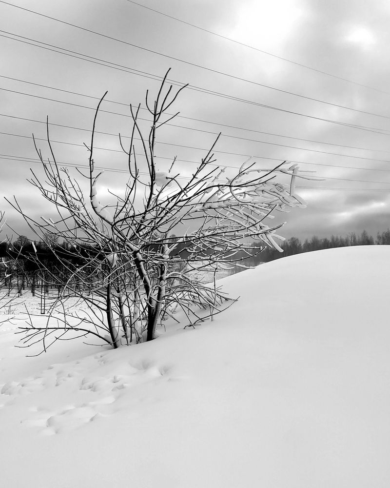 Photograph by Михаил Янкин