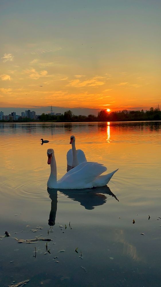 Photograph by Ирина Мазюк