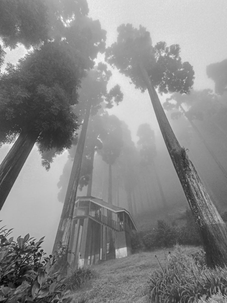 Фотография автора Shuvadeep Paul