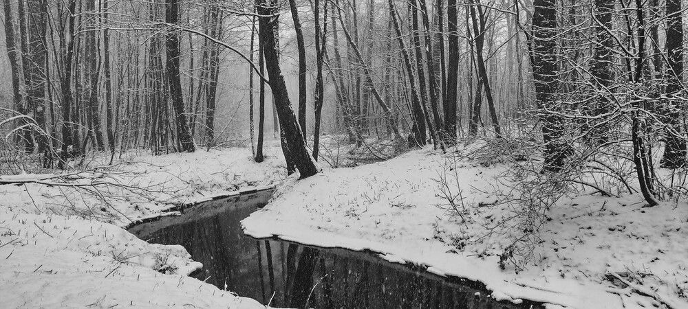 Photo #11900878