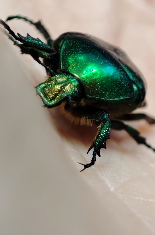 Фотография автора Калюнова Наталья