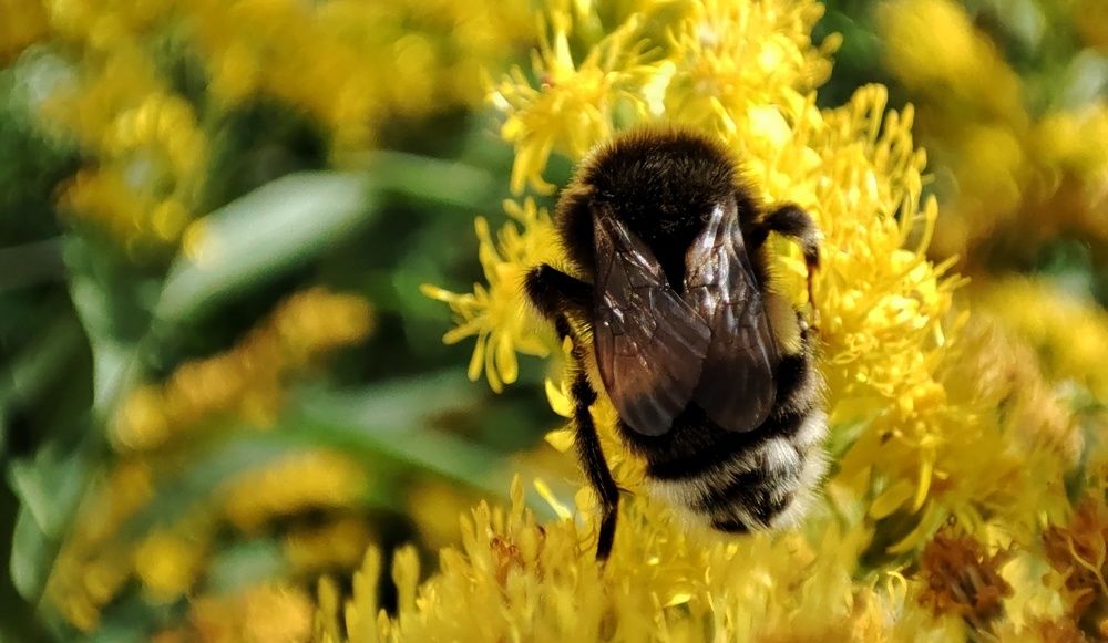 Photograph by Калюнова Наталья