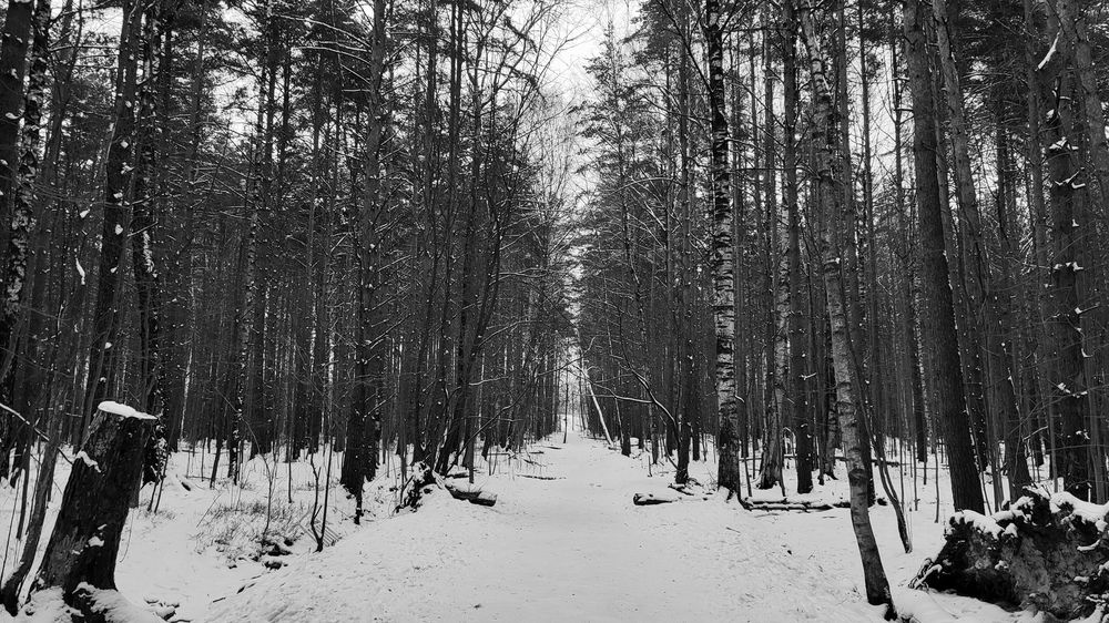 Фотография автора Елена