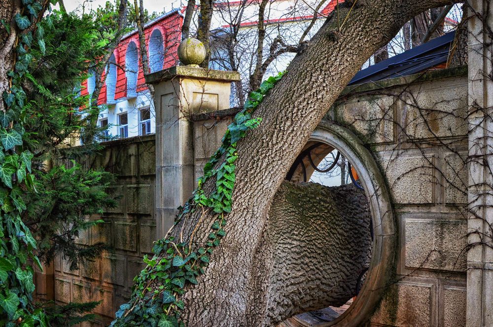 Photograph by Сергей Воеводин