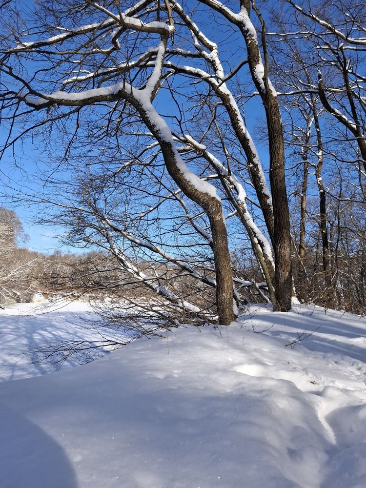 Фотография автора Irina Vornacheva