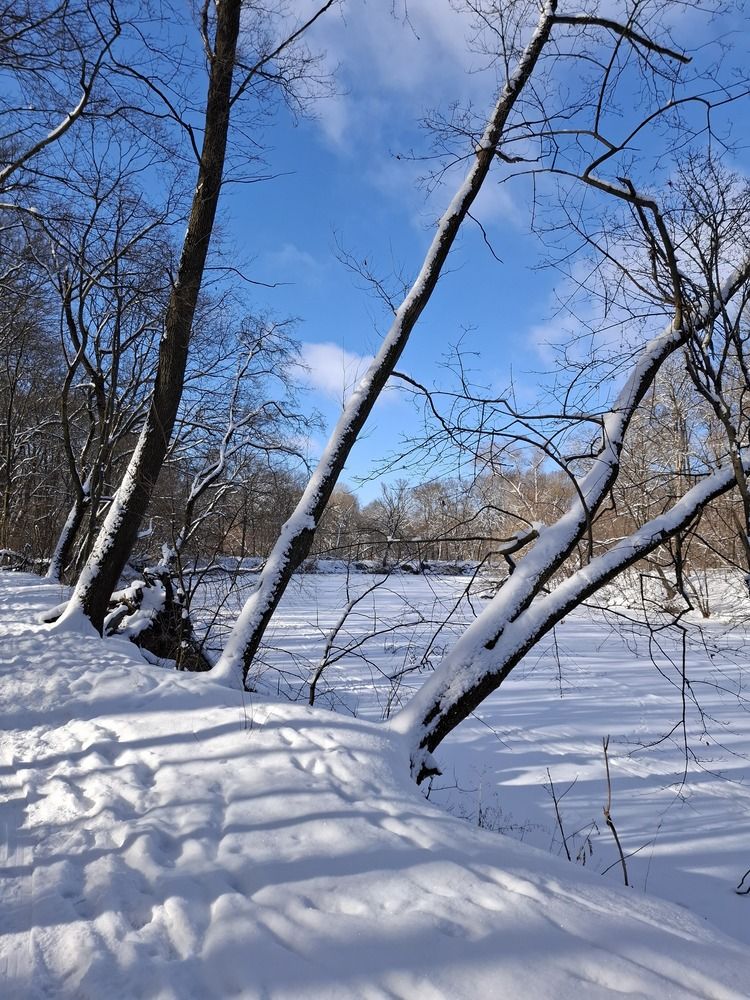 Фотография автора Irina Vornacheva