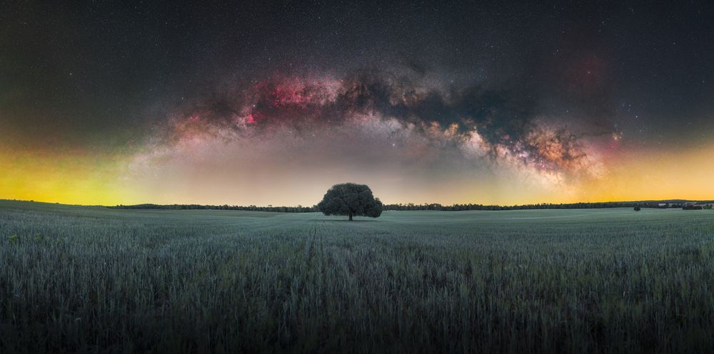 Photograph by Hector Hernandez