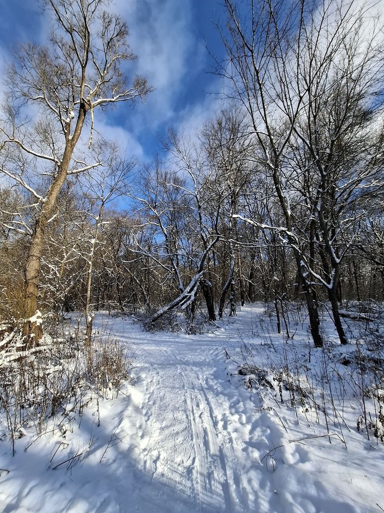 Фотография автора Irina Vornacheva