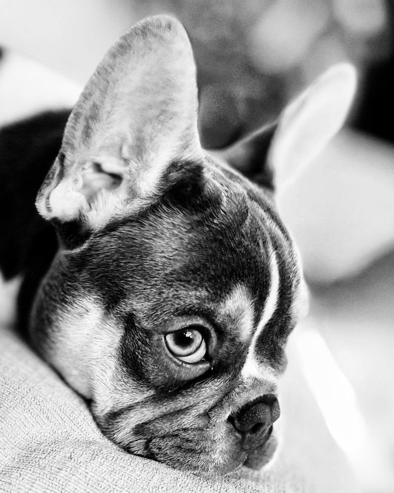 Фотография автора Юлия Фёдорова